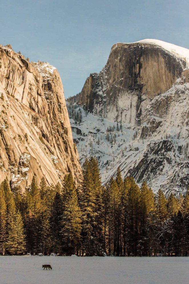 20160108-Yosemite-late-164