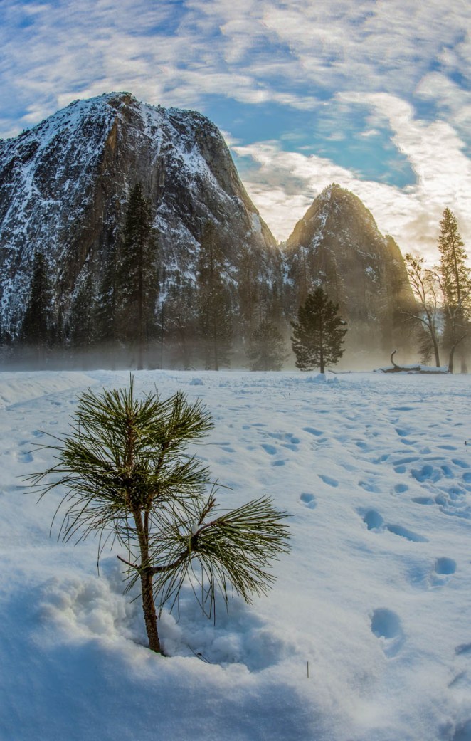 20160108-Yosemite-late-251-Edit