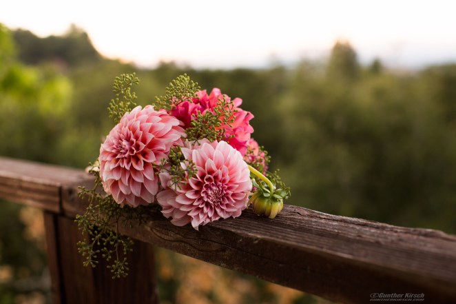 20160730-SteveKathy_01707